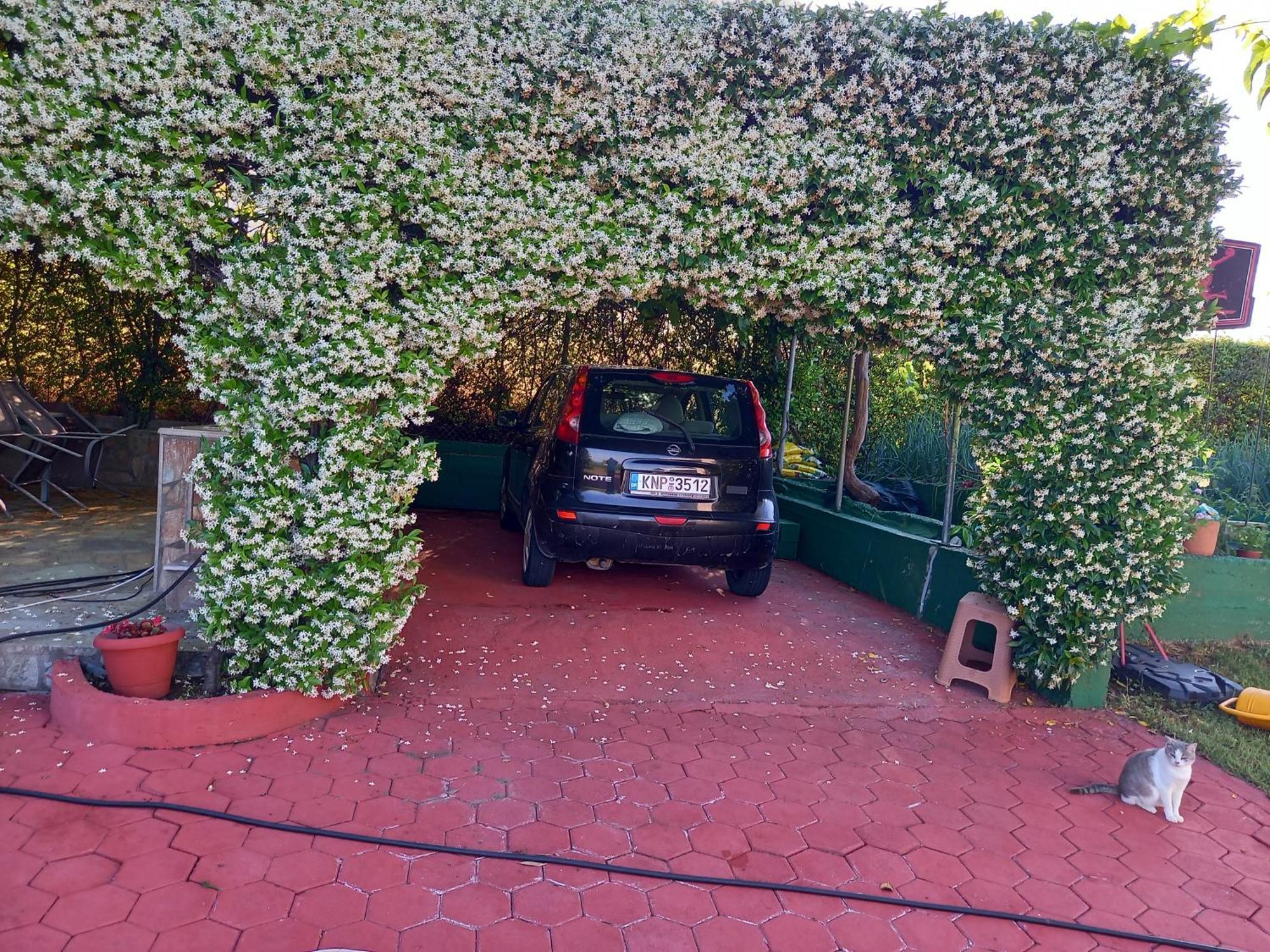 Tammy'S Garden House Villa Leptokarya  Bagian luar foto