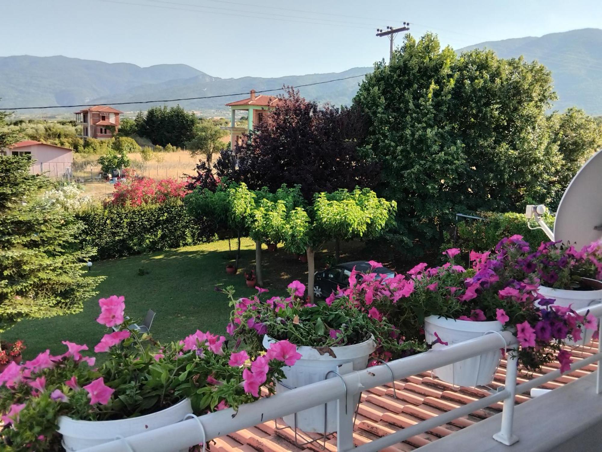 Tammy'S Garden House Villa Leptokarya  Bagian luar foto
