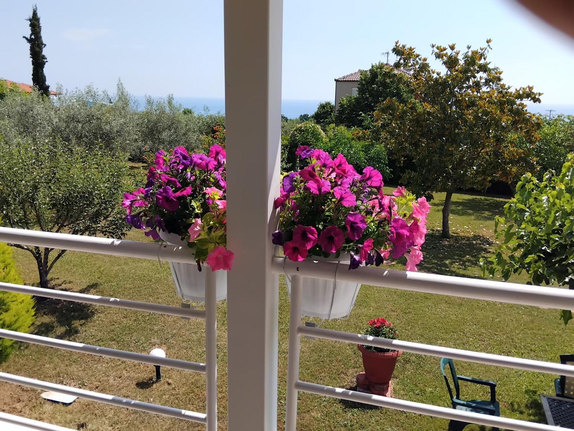 Tammy'S Garden House Villa Leptokarya  Bagian luar foto