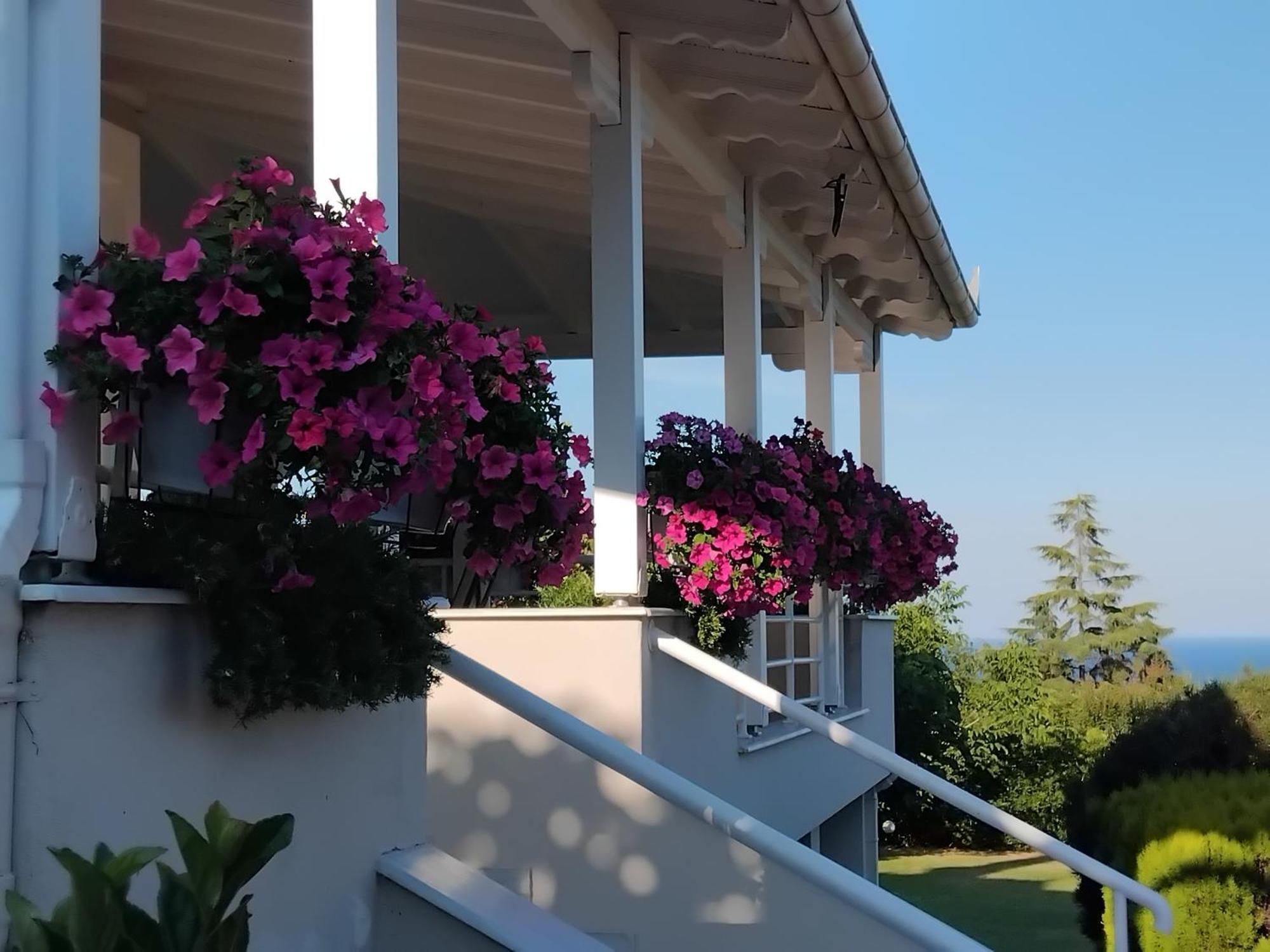 Tammy'S Garden House Villa Leptokarya  Bagian luar foto