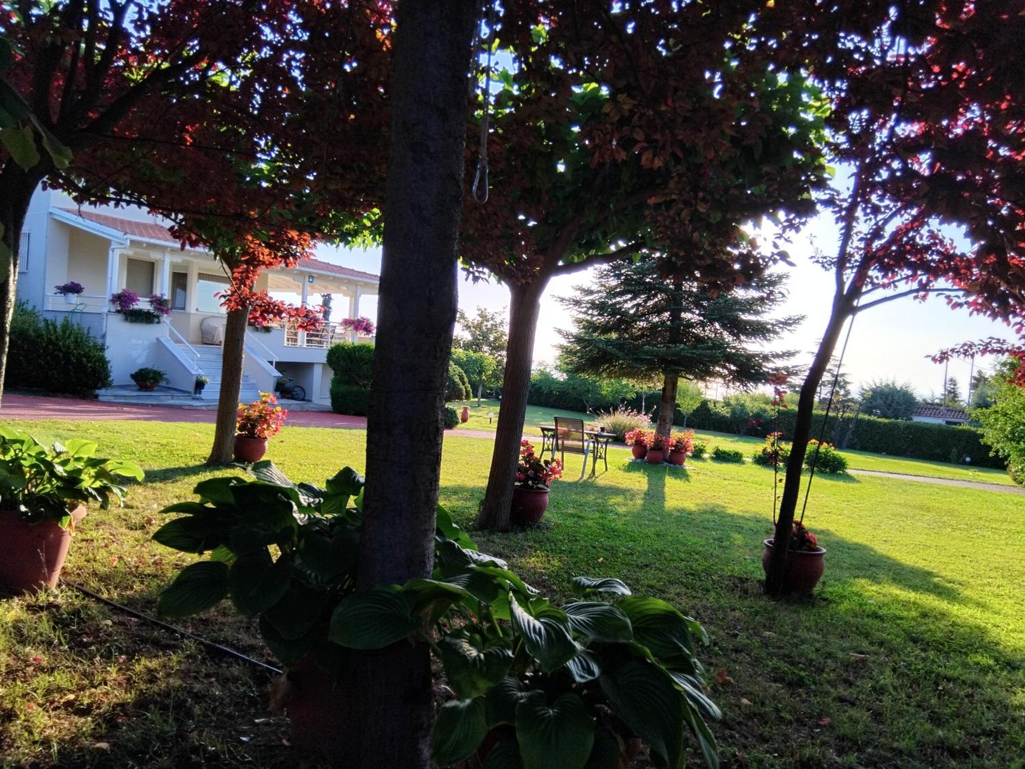 Tammy'S Garden House Villa Leptokarya  Bagian luar foto
