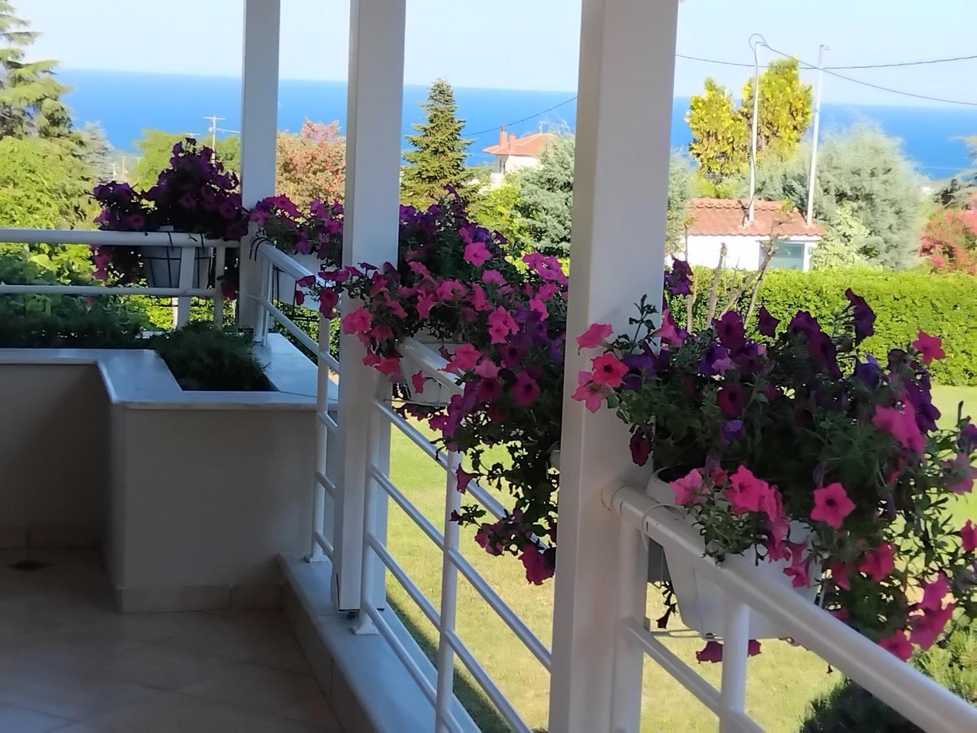 Tammy'S Garden House Villa Leptokarya  Bagian luar foto